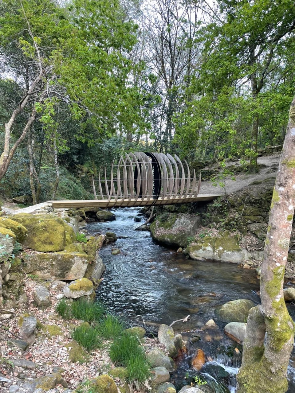 Natural landscape