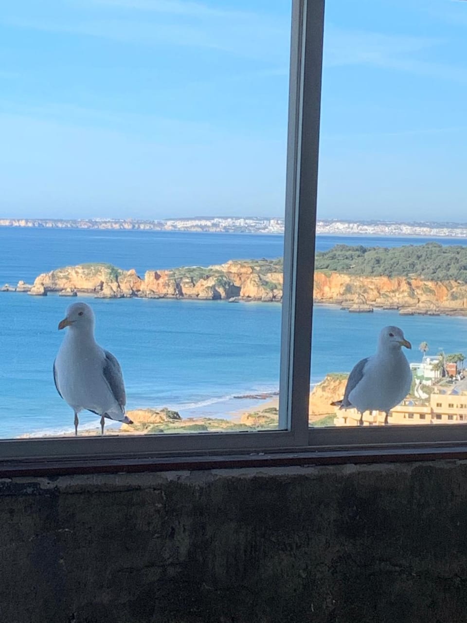 Sea view