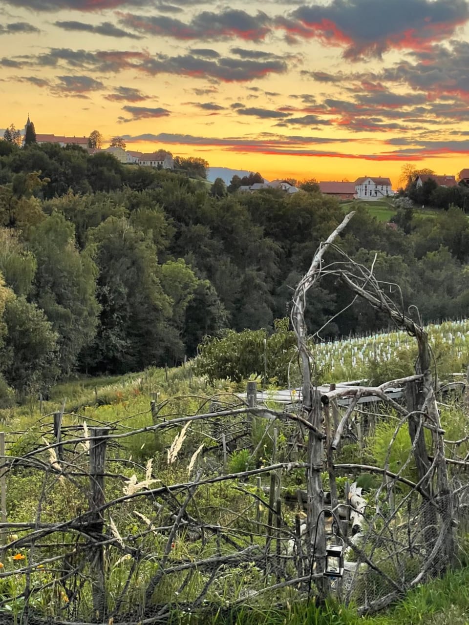 Boutique Glamping Divja DiVine House in Slovenia