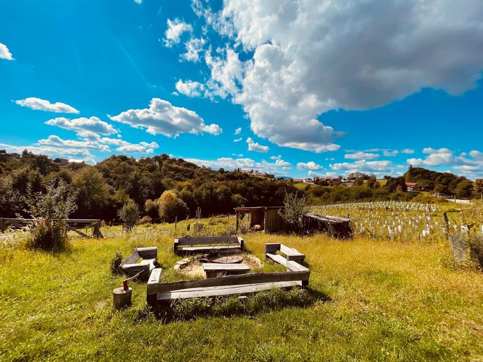 Boutique Glamping Divja DiVine House in Slovenia