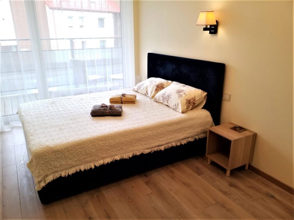 Beautiful Apartment in the heart of Birstonas Apartment in Lithuania