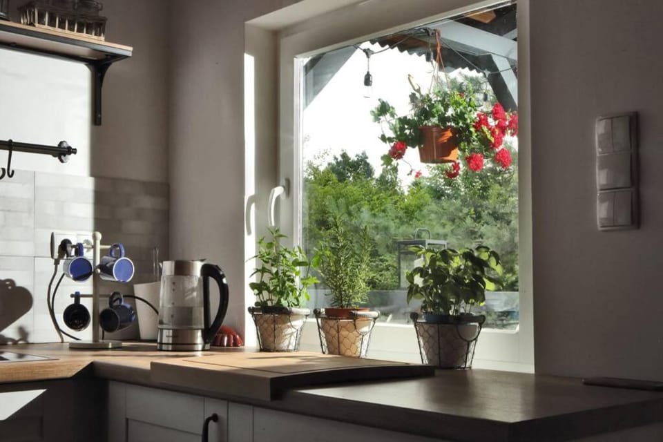 View (from property/room), Kitchen or kitchenette, Decorative detail