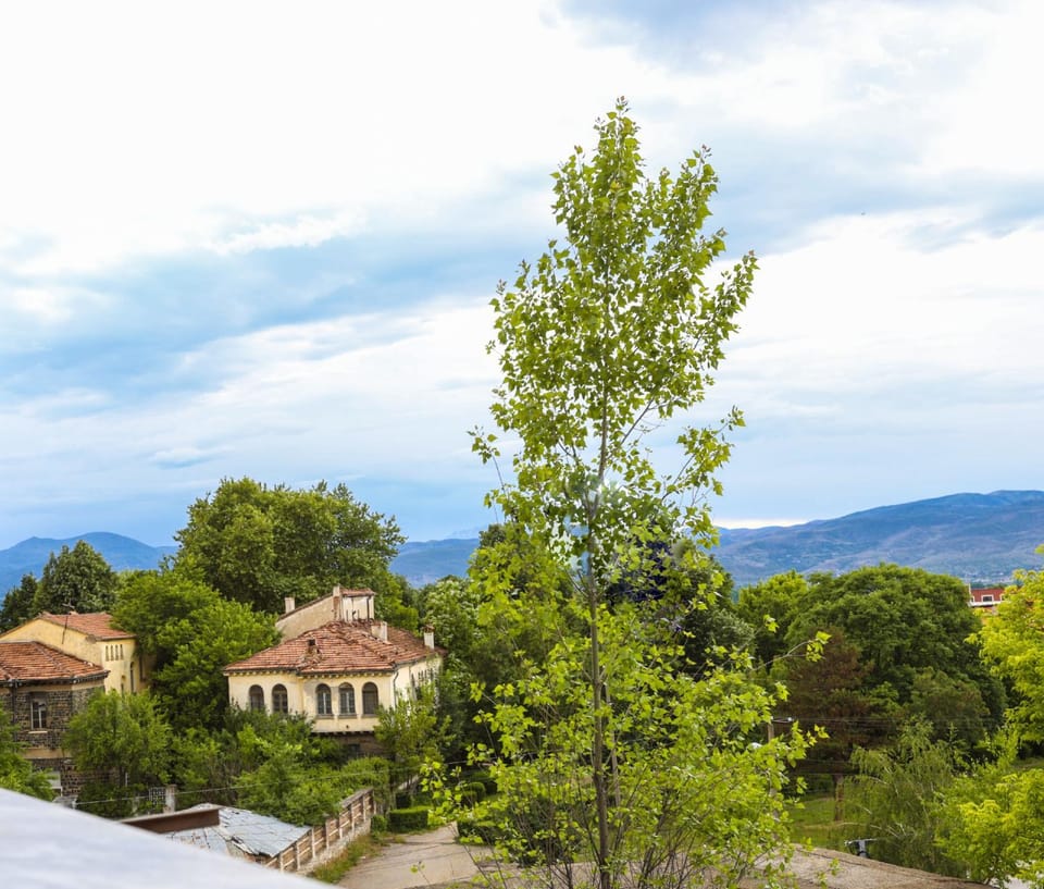 Edea's Apartment Apartment in North Macedonia