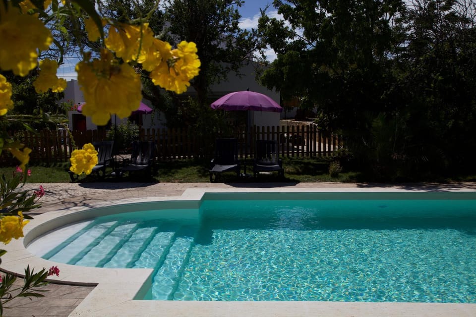 Garden, Garden view, Swimming pool, sunbed