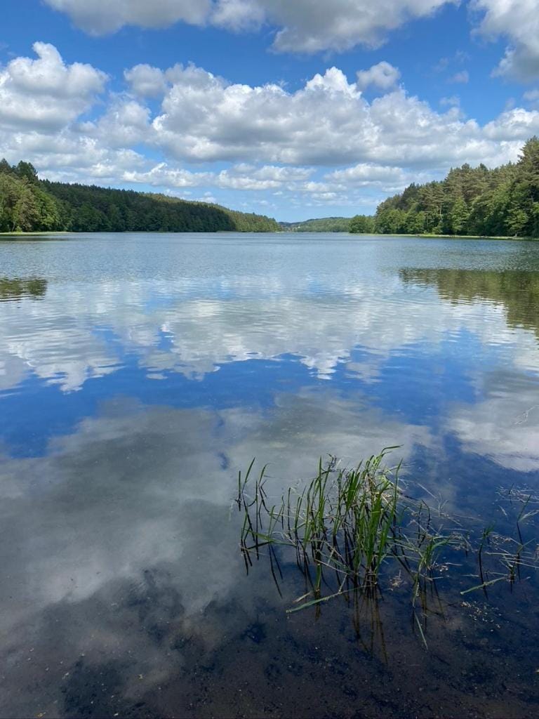 Natural landscape, Lake view