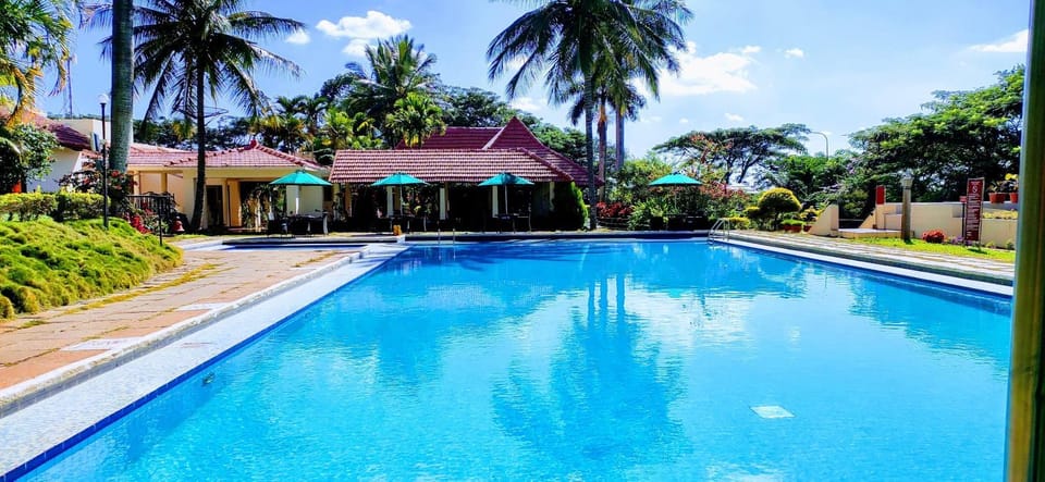 Swimming pool, Swimming pool