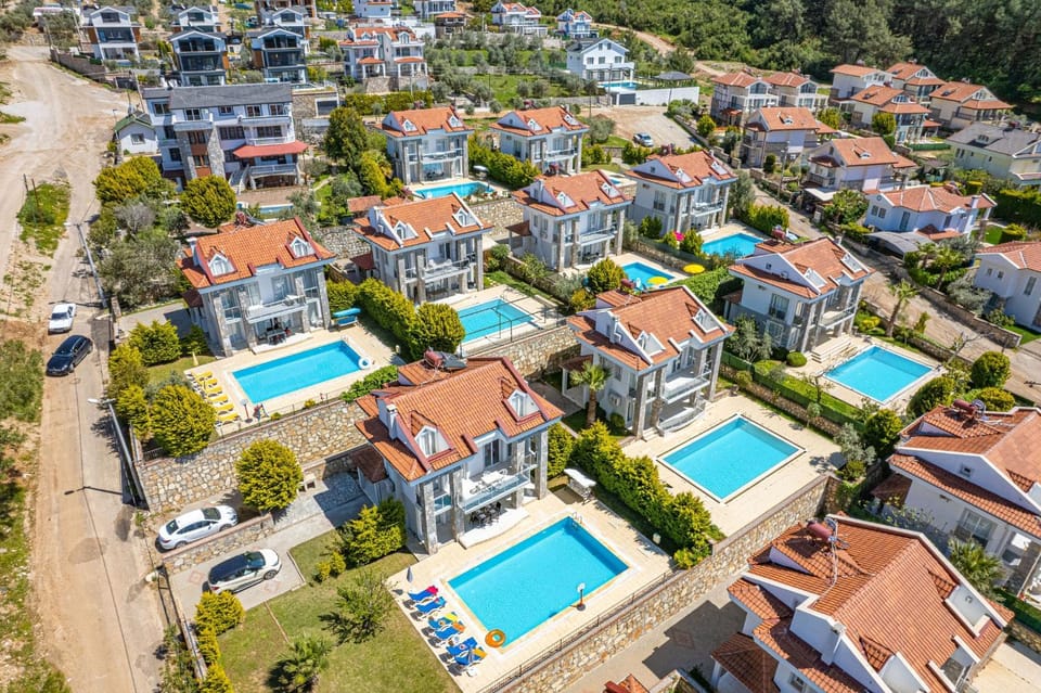 Natural landscape, Bird's eye view, Swimming pool, Location