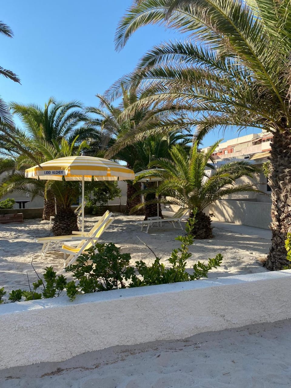 Garden, Beach, Garden view