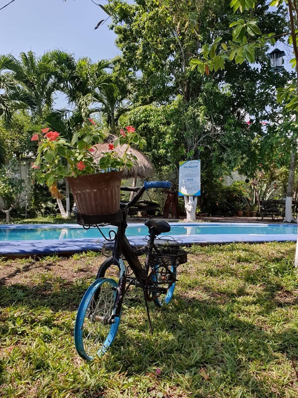 Swimming pool