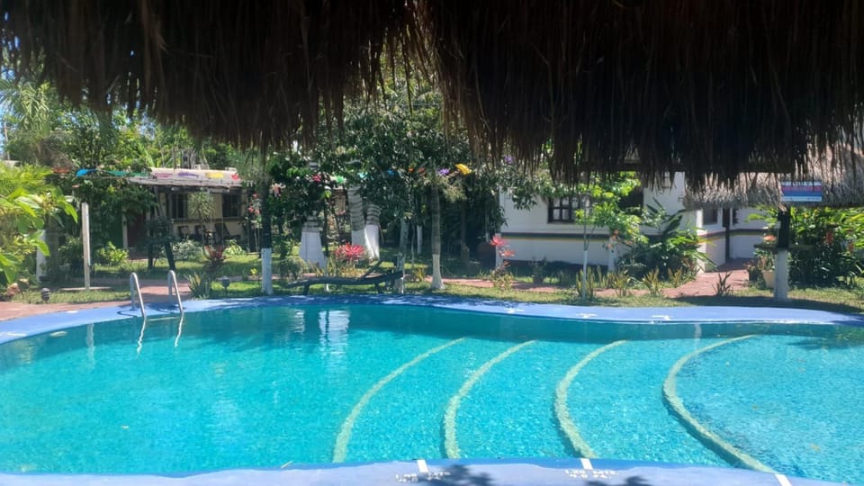 Pool view, Swimming pool