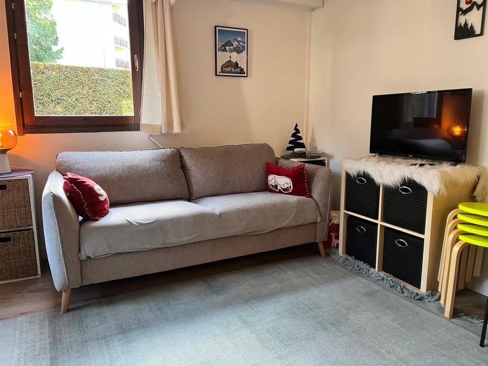 Studio lumineux au centre, jardin, parking, casier à skis - FR-1-624-56 Apartment in Samoëns