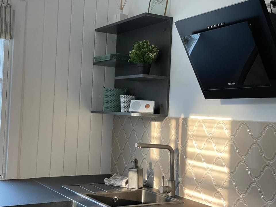 Kitchen or kitchenette, minibar, stove, toaster