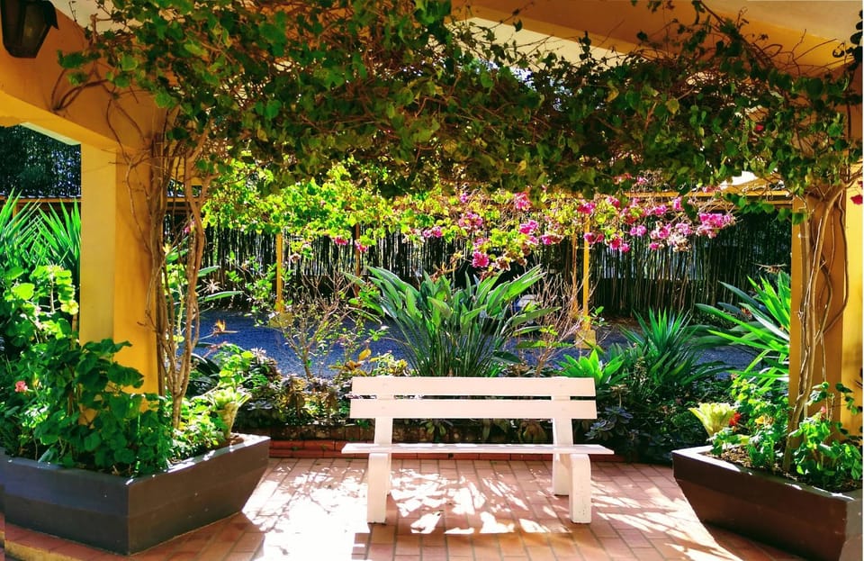 Patio, Garden