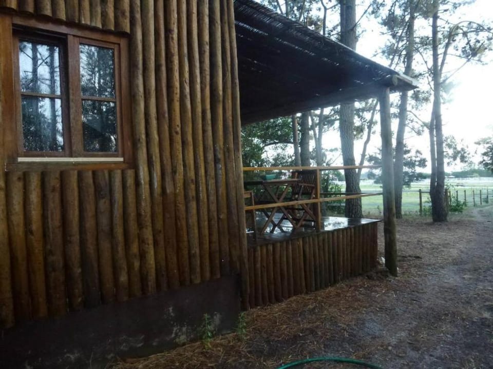SeteQuintas Farm Stay in Faro District
