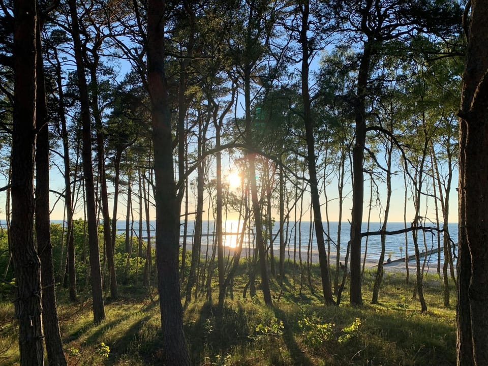 Natural landscape, Sunset