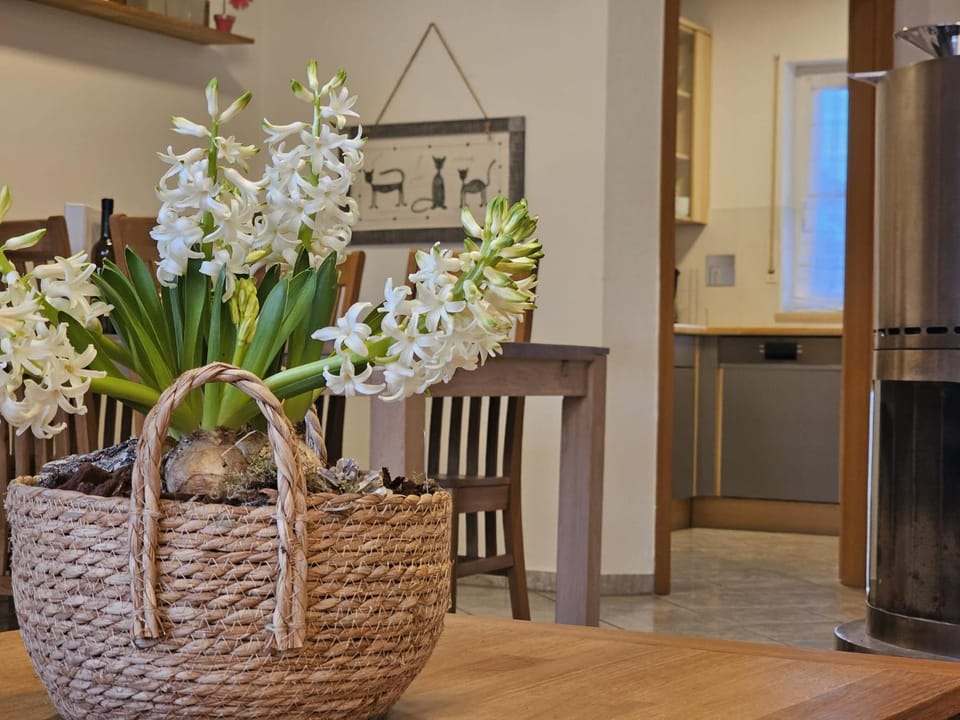 Ferienhaus Ankerplatz im Bootshaus House in Lower Saxony, Germany