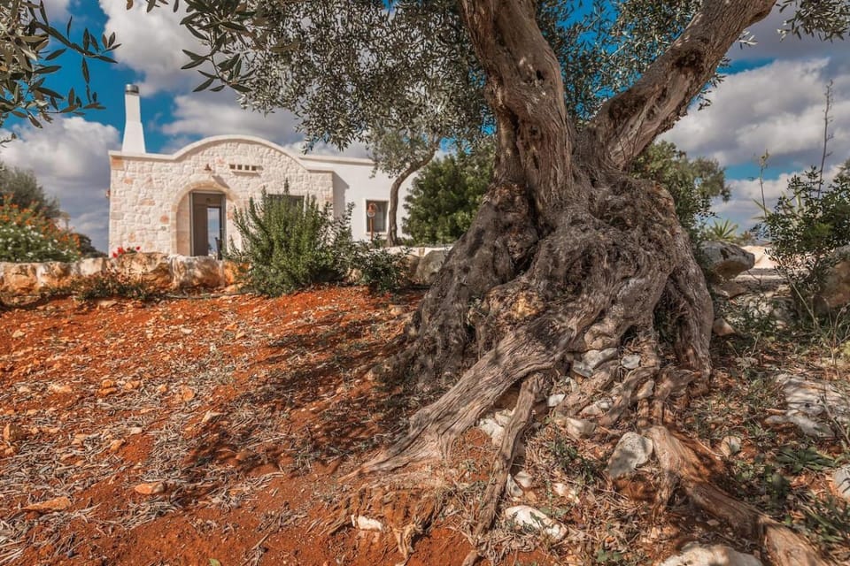 Villa Sud-Est Villa in Province of Taranto