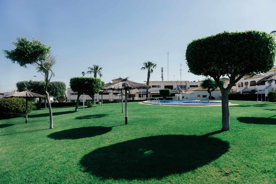 Garden, Swimming pool