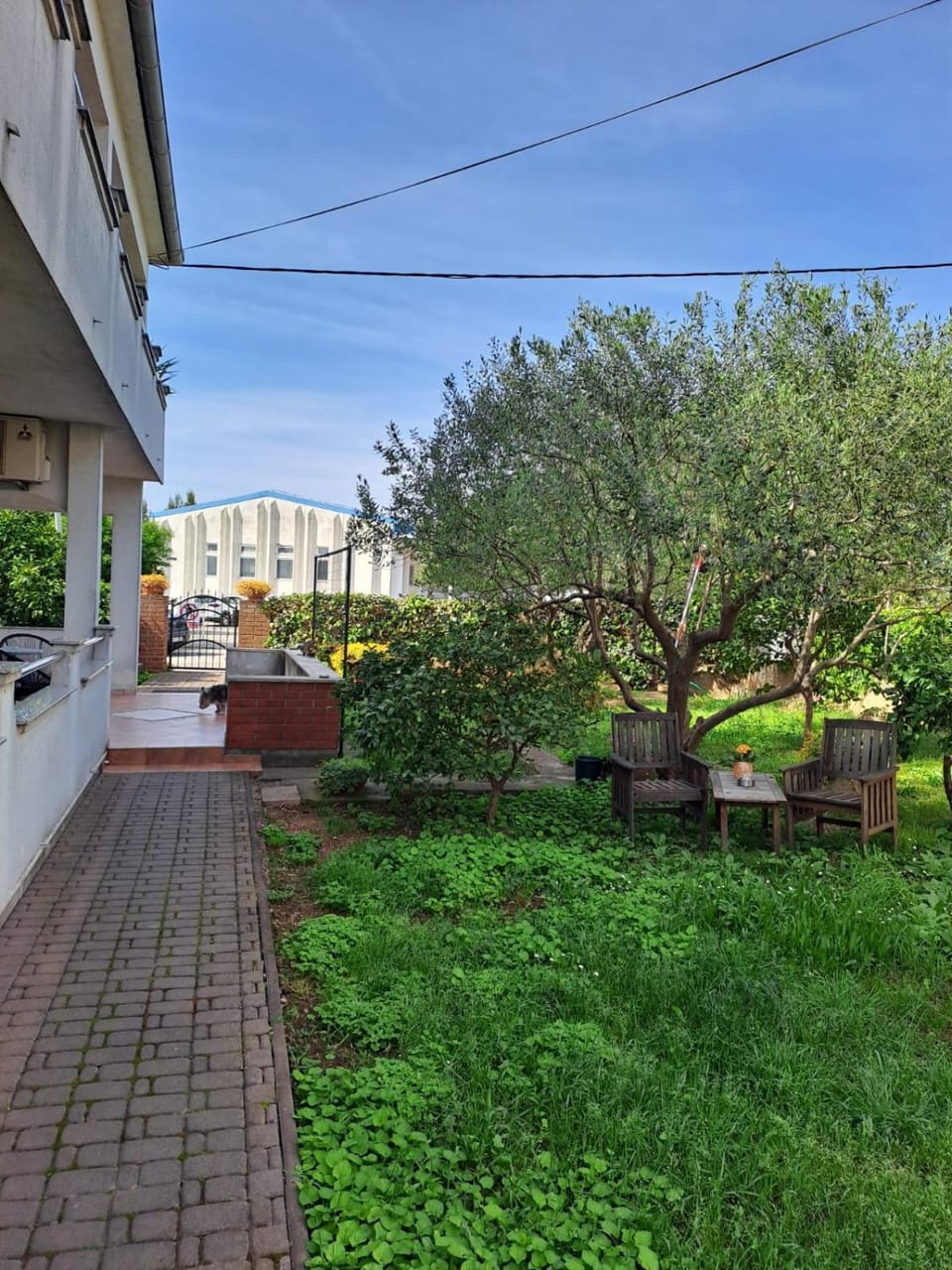 Day, Garden, Garden view