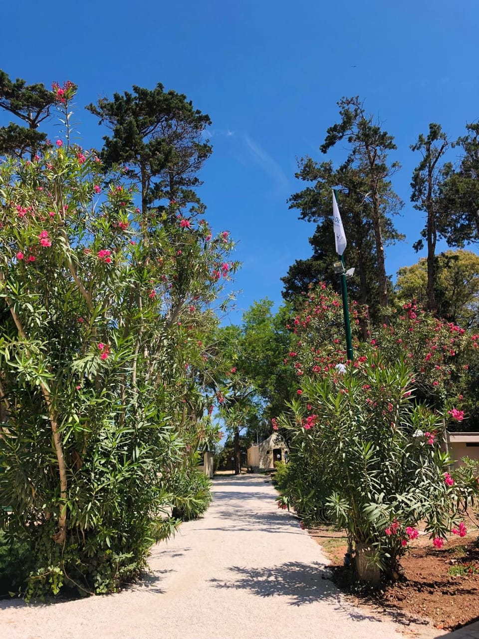 Day, Natural landscape, Garden, Garden view