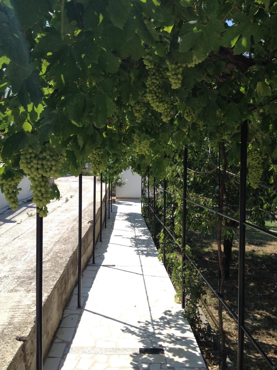 Smokvica House in Split