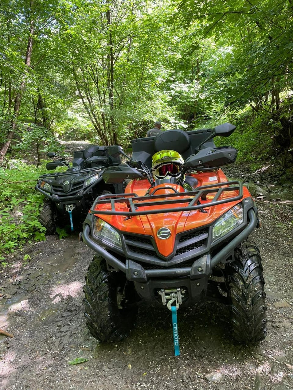 Activities