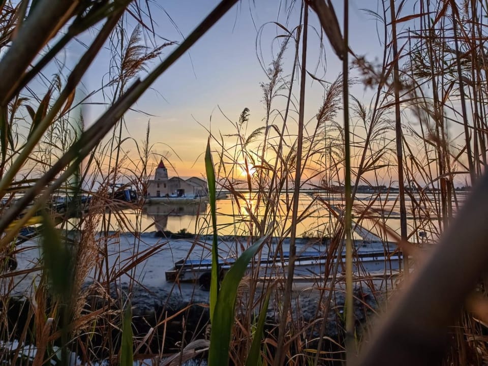 Il Glicine - Sisosa Homes House in Marsala