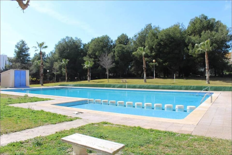 Day, Garden, Garden view, Pool view, Swimming pool