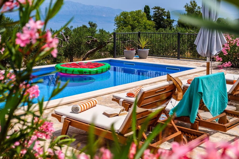 Patio, Day, Natural landscape, Garden, Garden view, Pool view, Swimming pool, sunbed