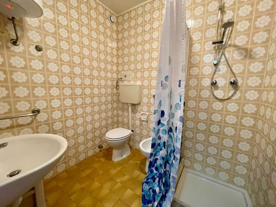 Shower, Toilet, Bathroom, bidet