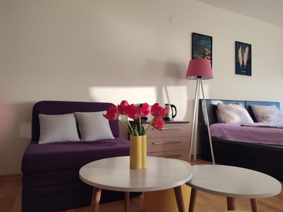 Bed, Living room, Photo of the whole room, Seating area, Bedroom