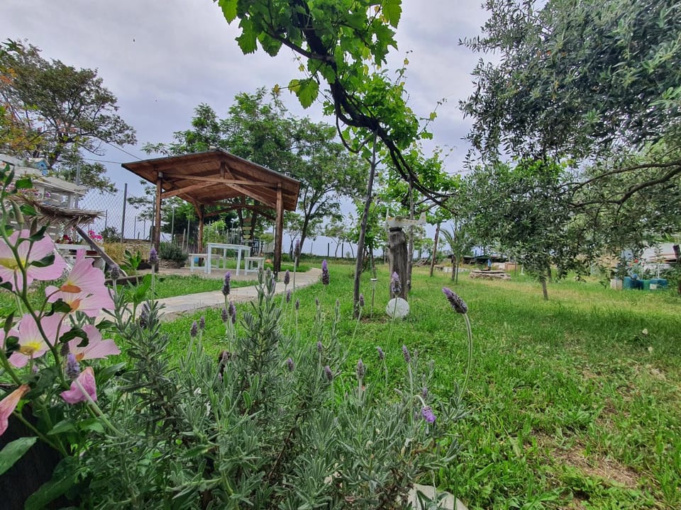 Doukas by the Sea-Little Paradise-Beachfront Apartment in Thasos