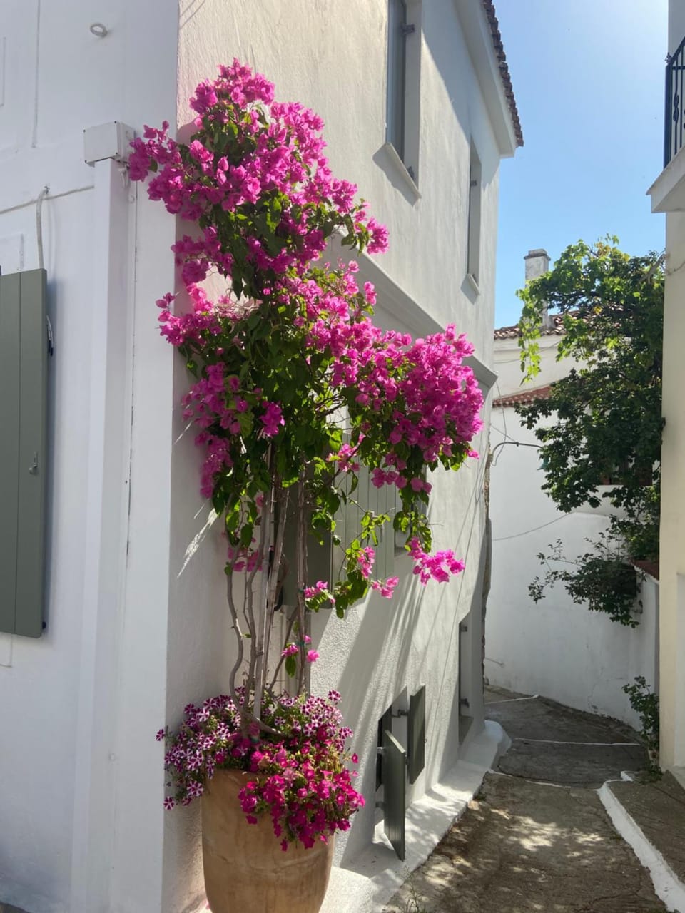 Facade/entrance