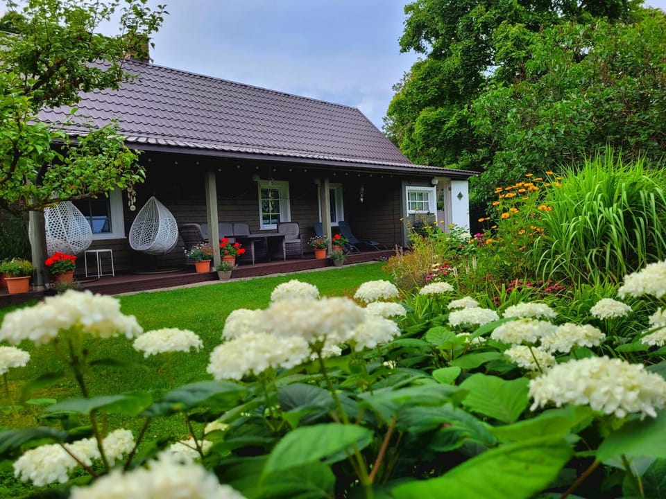 Property building, Summer, Garden