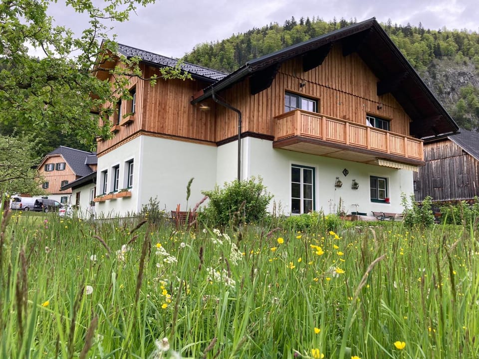 Property building, Natural landscape, Garden view