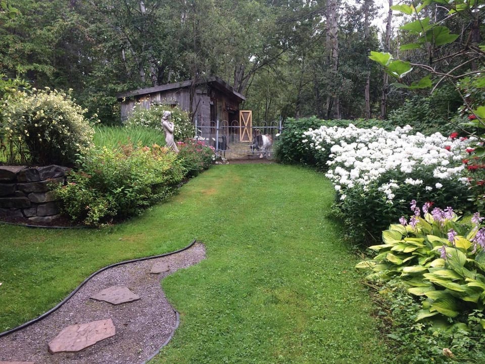 Garden view