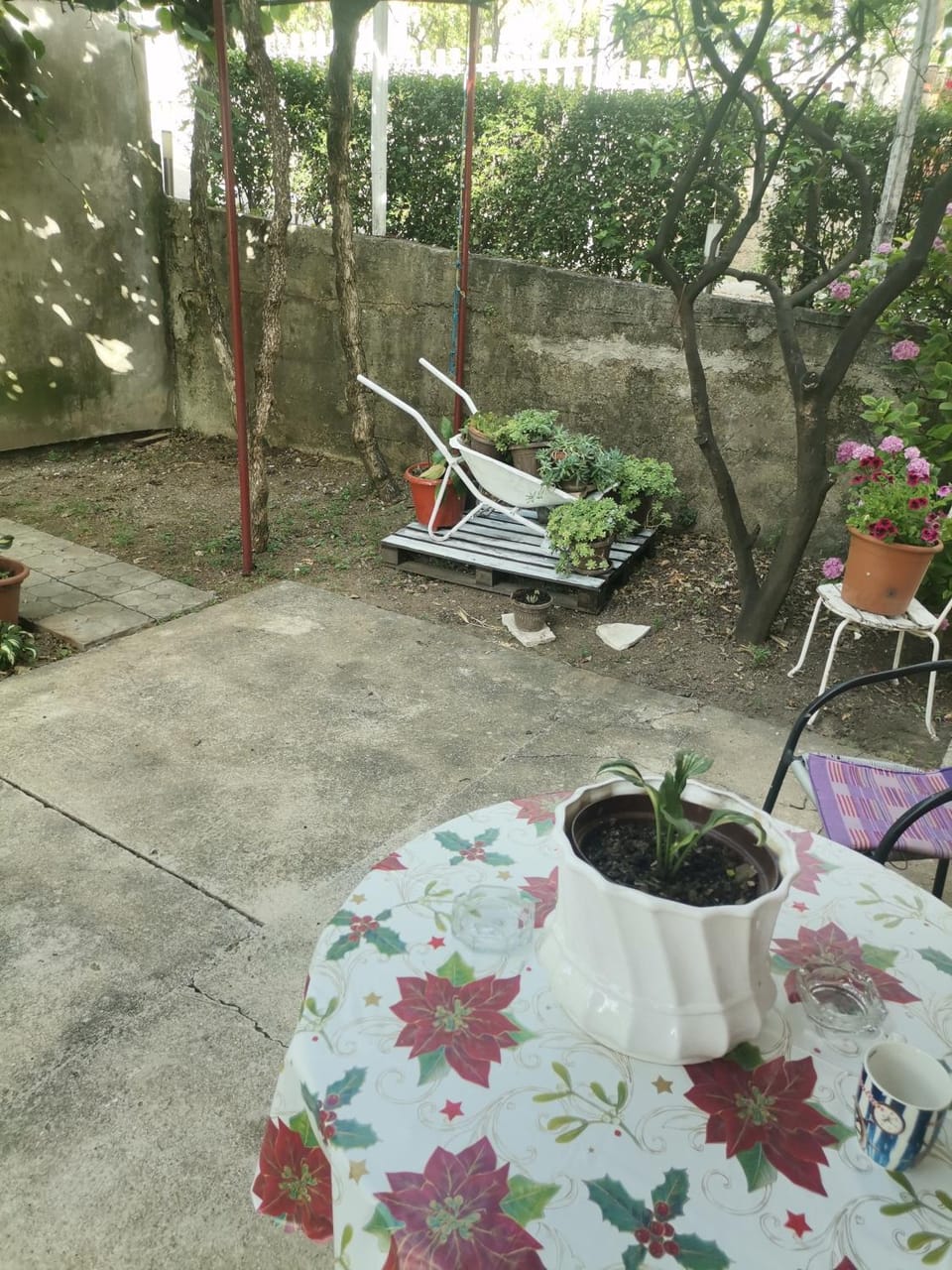 Apartman Danica Apartment in Dubrovnik-Neretva County