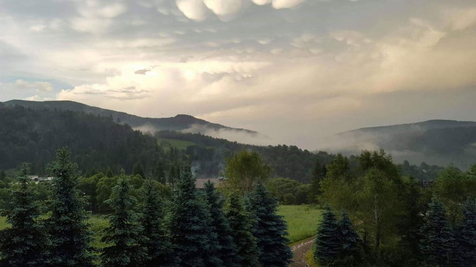 Mountain view