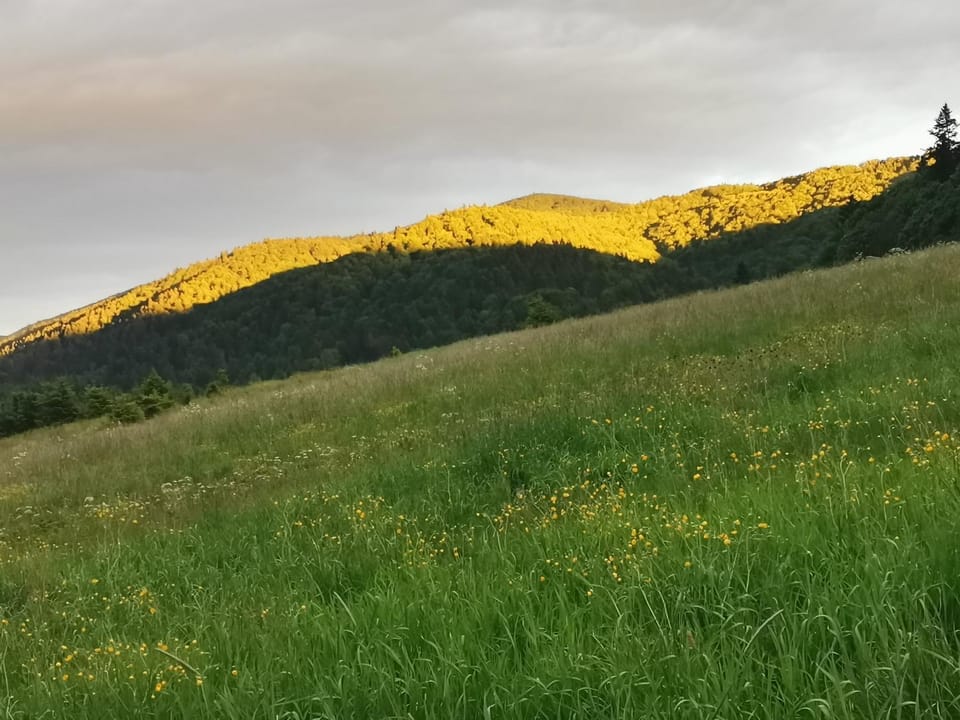 Natural landscape