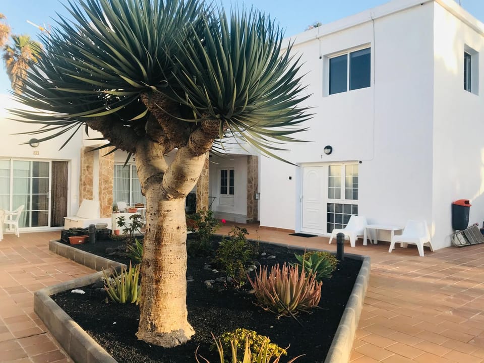 Patio, Garden, Garden view