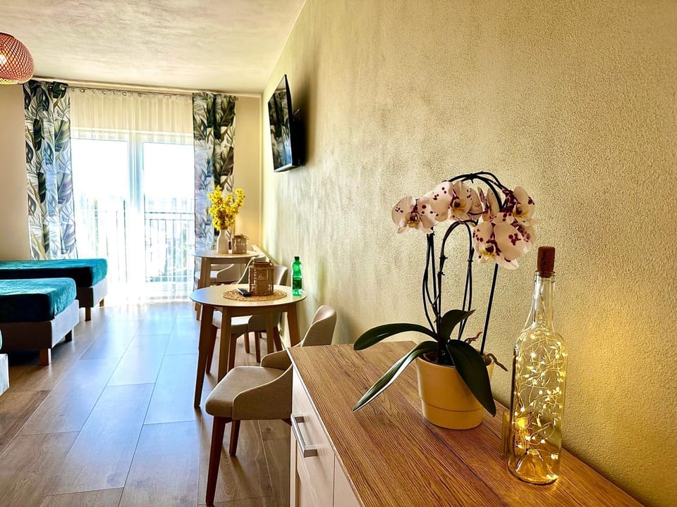 TV and multimedia, Seating area, Drinks, hair dryier, internet, towels, wardrobe