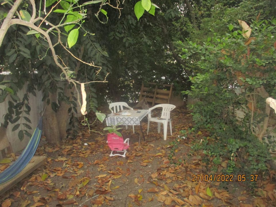 דירת אירוח בצל האילנות Apartment in Haifa District