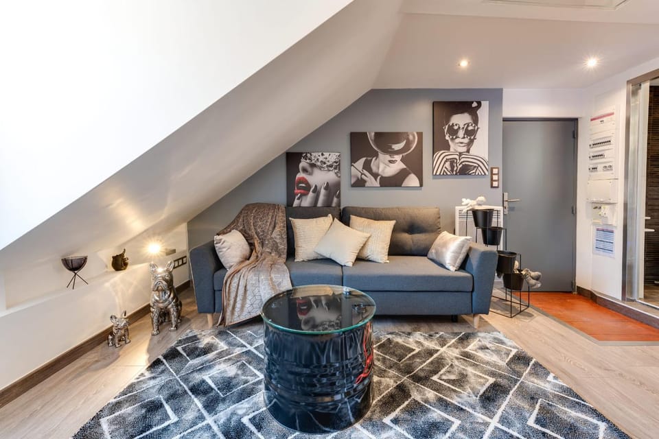 Le Duplex atypique superbe coeur centre ville Apartment in Annecy