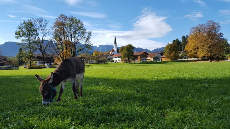 Neighbourhood