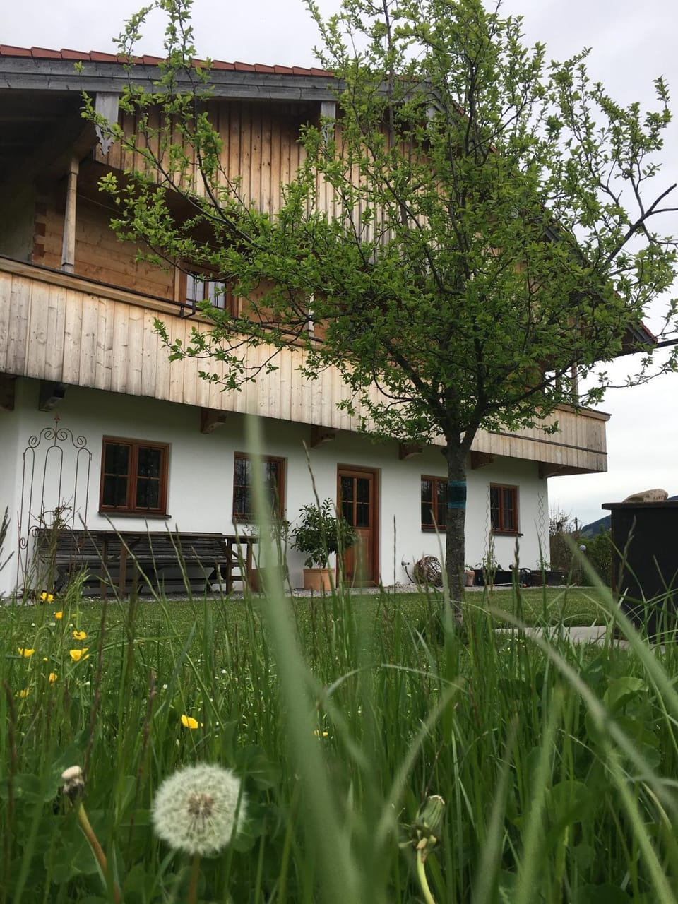 Property building, Garden