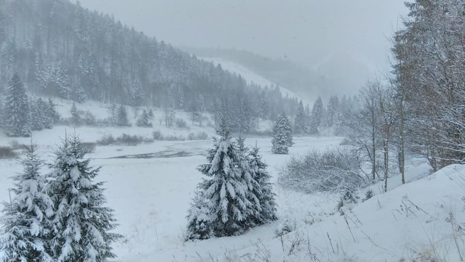 View (from property/room), Mountain view