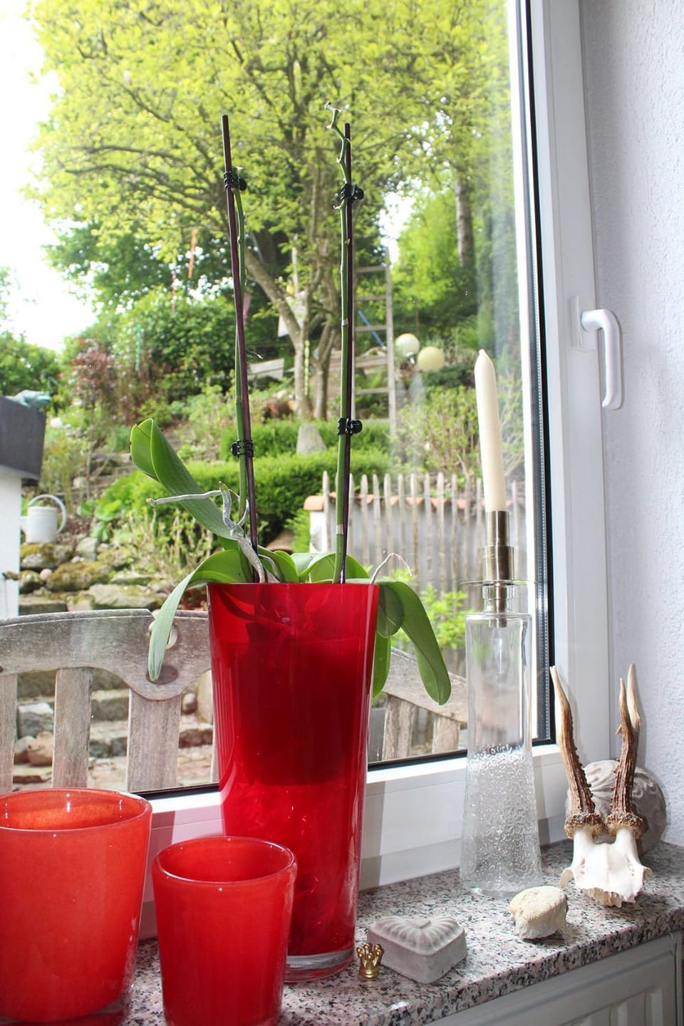 Garden view, Breakfast