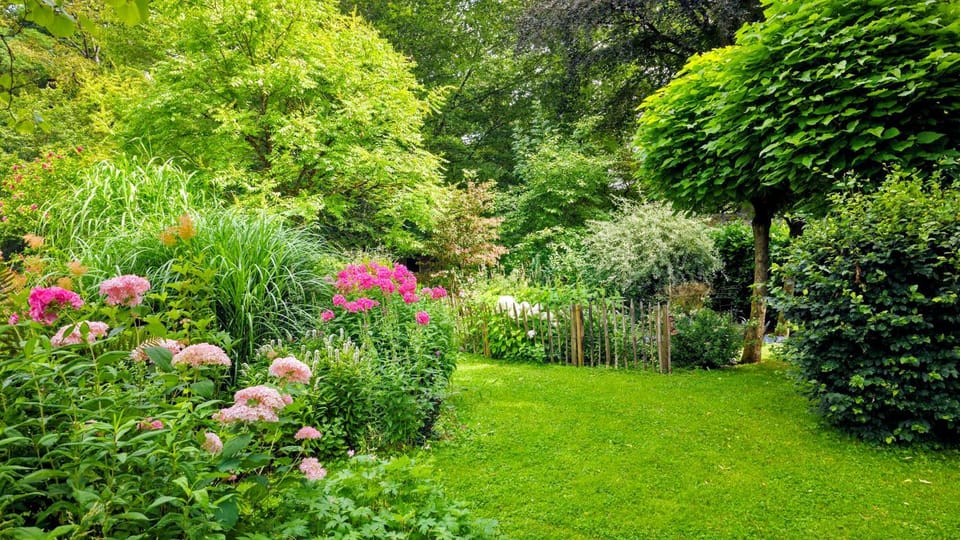 Garden view