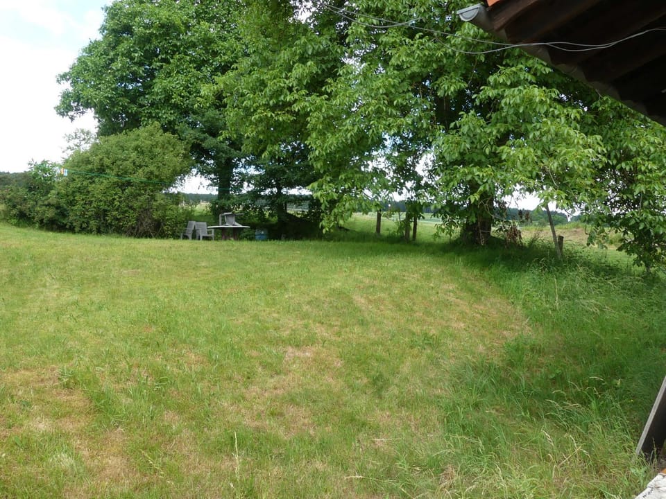 BBQ facilities, Garden