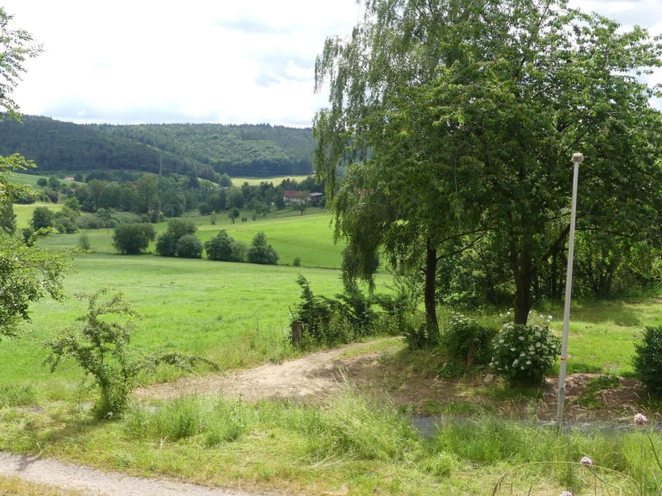 Natural landscape, Garden, View (from property/room)